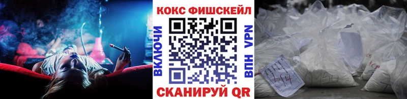 COCAIN Fish Scale Новоульяновск