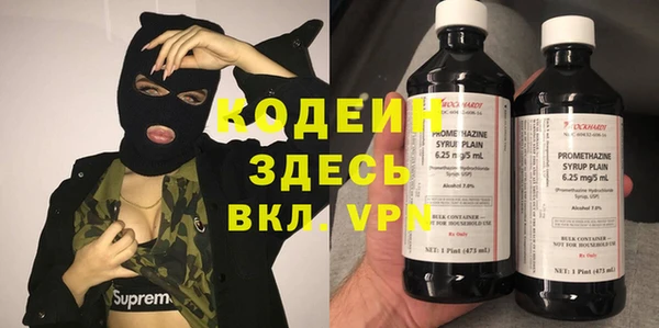 ГАЛЛЮЦИНОГЕННЫЕ ГРИБЫ Арсеньев