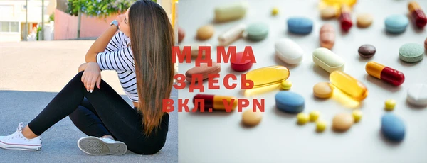 spice Аркадак