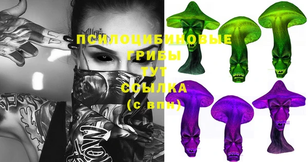 spice Аркадак