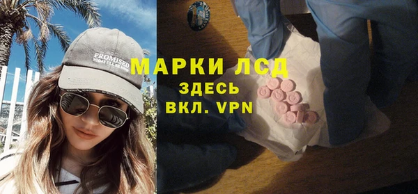 spice Аркадак