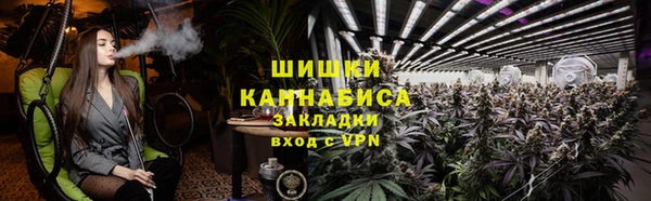 ГАЛЛЮЦИНОГЕННЫЕ ГРИБЫ Арсеньев