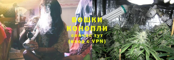 ГАЛЛЮЦИНОГЕННЫЕ ГРИБЫ Арсеньев