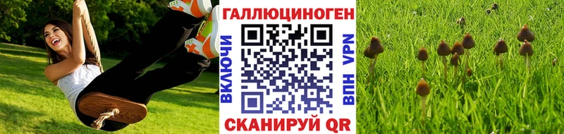Галлюциногенные грибы GOLDEN TEACHER Новоульяновск